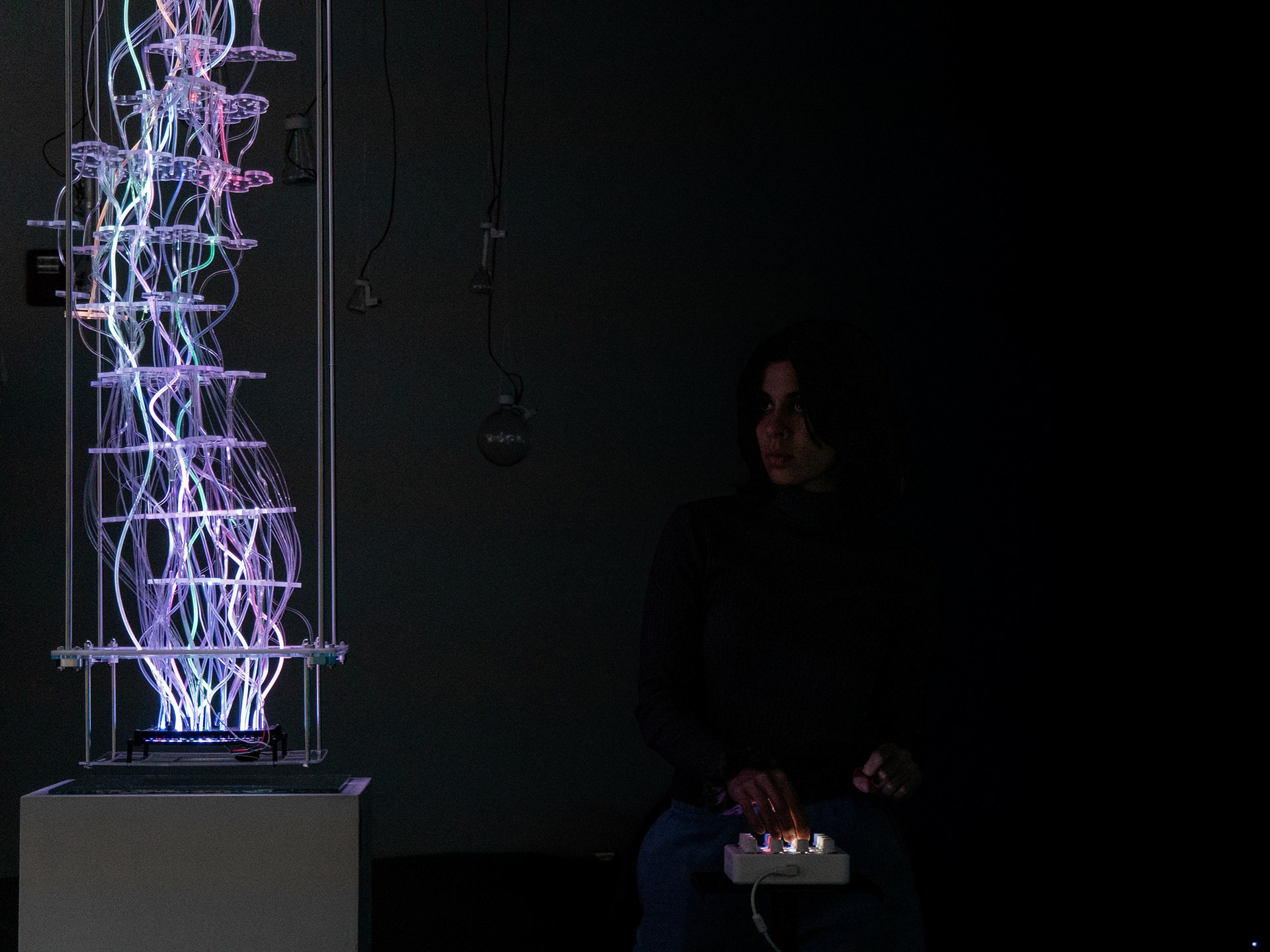 Organoid Protonoesis by Diarmid Flatley