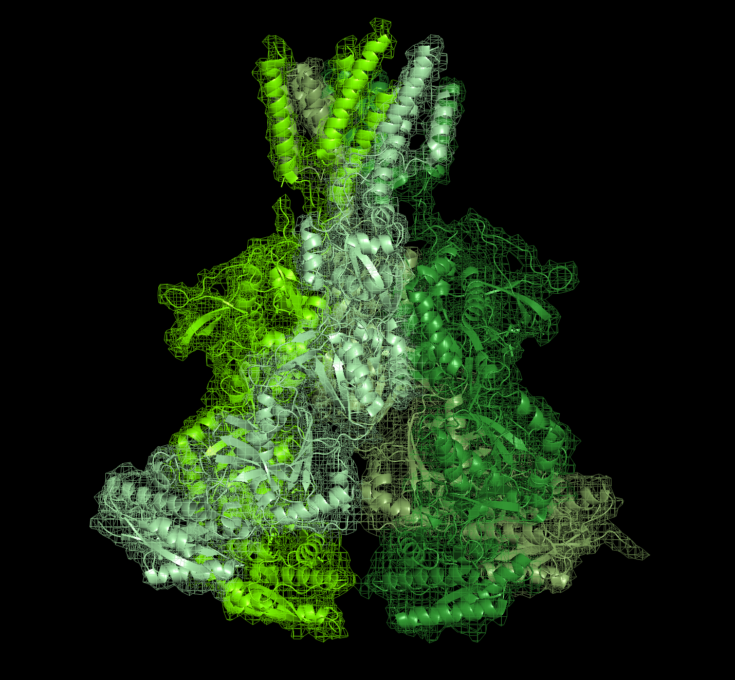 Mesh weave pattern upside down, showing projected shadow geometry