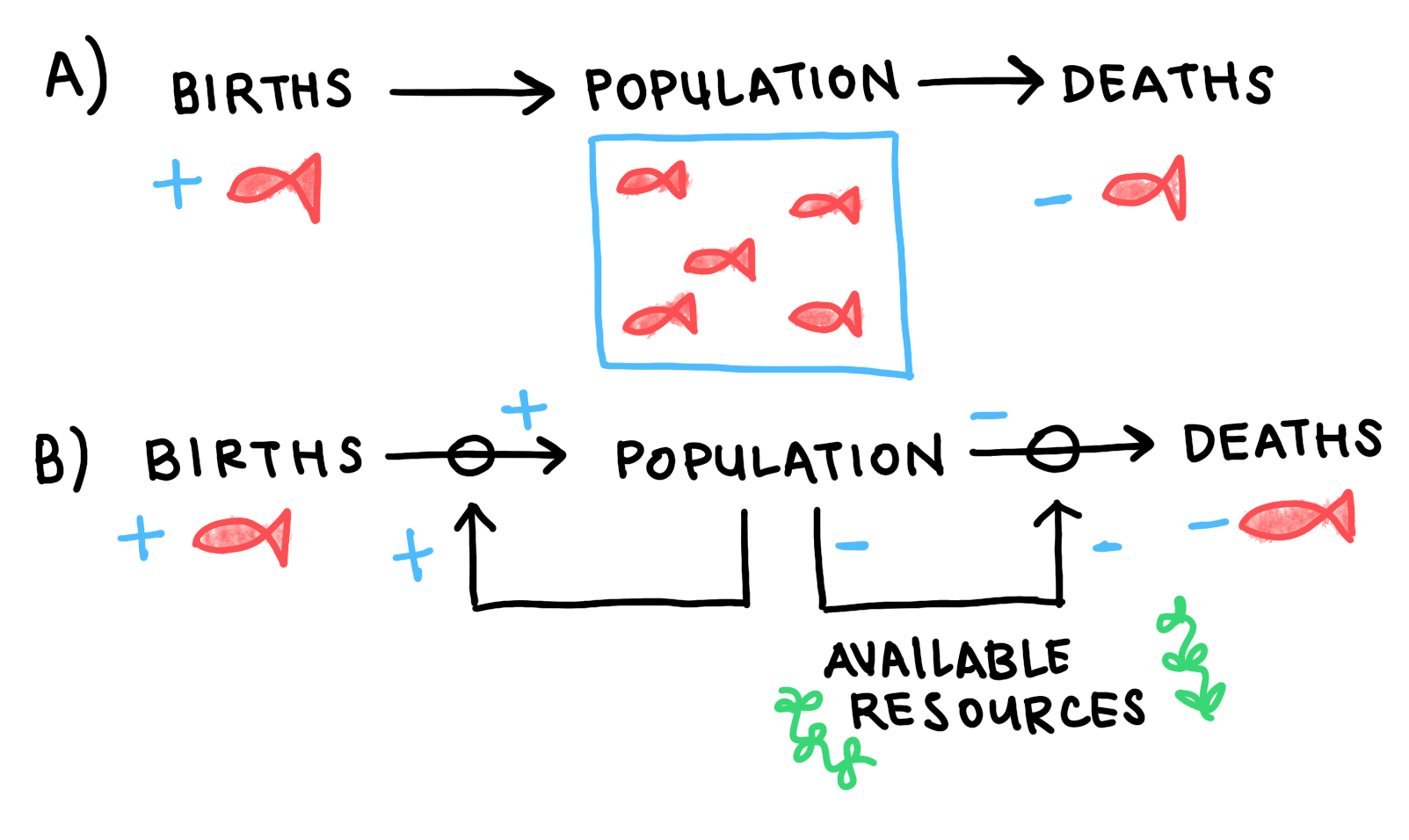 Causal Loop Diagram